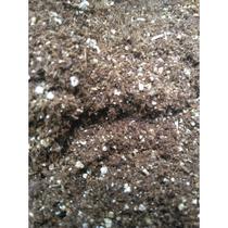 Substrato Carolina Soil - 2 Litros