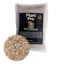 Substrato Cosmético Nature Prime Gravel Cinnamon Plantpro1kg - Plant Pro