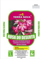 Substrato de rosa do deserto - Terra nova
