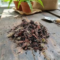 Substrato Especial para Antúrio, Samambaia e Platycerium - 6 Litros