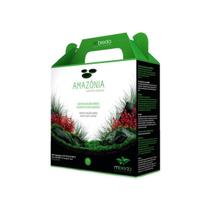 Substrato Fértil Mbreda Amazônia 2,5 Kg