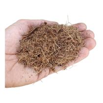 Substrato Fibra de Coco 10 Litros Fibras Média Mista - para plantio germinação mudas em vasos floreiras canteiros pronto para uso grow cultivo - AIMIRIM