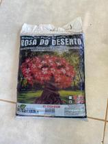 Substrato floresta para rosa do deserto
