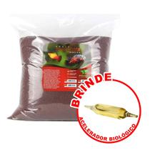 Substrato Inerte Areia Mbreda Terracota Saco 20kg + Brinde