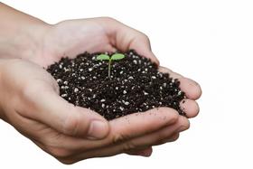 substrato orgânico pacote com 2kg alto poder de enraizamento e germinação