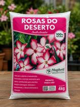 Substrato organico para rosas do deserto 4kg Mogi Fertil Substrato organico para rosas do deserto 4kg Mogi Fertil