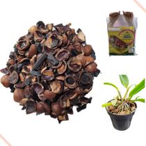 Substrato Orquídeas Casca De Macadâmia, Chips de Coco e Sphagnum Substrato Orquídeas Casca De Macadâmia, Chips de Coco e Sphagnum
