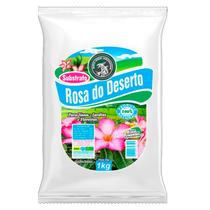 Substrato P/ Rosa Do Deserto 1 Kg Adubo Mato Verde Ouro Verde Substrato P/ Rosa Do Deserto 1 Kg Adubo Mato Verde Ouro Verde