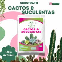 Substrato para Cactos e Suculentas 2Kg - Drenagem, Aeração e Crescimento Saudável das Plantas