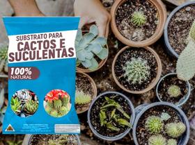 Substrato para Cactos e Suculentas 4kgs Crescimento Saudável e Drenagem Perfeita