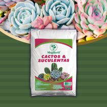 Substrato para cactos e suculentas adubo orgânico 2 kg MogiFertil