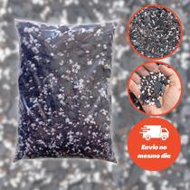 Substrato para Cactos e Suculentas Volume 2 Litros