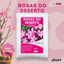 Substrato para Rosas do Deserto 2Kg - Drenagem, Nutrição e Crescimento Saudável das Plantas