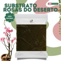 Substrato para Rosas do Deserto 5Kg - Drenagem, Nutrição e Crescimento Saudável das Plantas