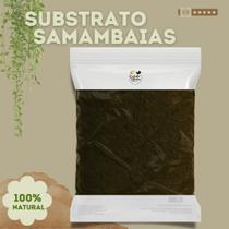 Substrato para Samambaias 5Kg - Rico em Nutrientes para Folhagem Verdinha e Saudável