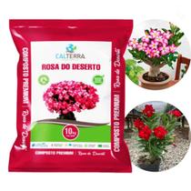 Substrato Rosa do Deserto 10 kg Calterra