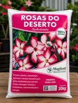 Substrato rosas do deserto organico 20 kg Mogi Fertil Substrato rosas do deserto organico 20 kg Mogi Fertil
