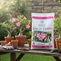 Substrato rosas do deserto organico 20 kg Mogi Fertil