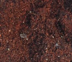 Substrato, Terra Adubada para Cultivo de Plantas - Pronto para uso