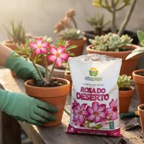 Substrato Terra Especial Preparo Para Rosas Do Deserto Vitaplan - 2kg
