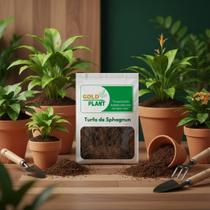 Substrato Turfa de Sphagnum Especial Adubo Orgânico 10 litros Gold Plant Substrato Turfa de Sphagnum Especial Adubo Orgânico 10 litros Gold Plant