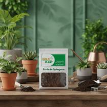 Substrato Turfa De Sphagnum Especial Adubo Orgânico 3 litros Gold Plant Substrato Turfa De Sphagnum Especial Adubo Orgânico 3 litros Gold Plant