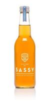 Suco De Maça Organica Sassy L'inévitable 330ml-pack 12u
