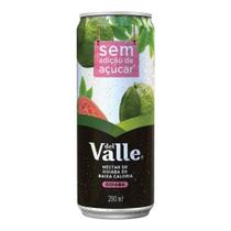 Suco Del Valle Mais Néctar de Goiaba 290ml