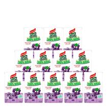 Suco Maguary 100% Suco Fruit Shoot Sabor Uva 150ml 12un