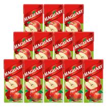 Suco Maguary Nectar de Maçã 200ml 12 Unidades