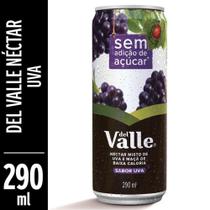 Suco Nectar de Uva 290ml 1 UN Del Valle