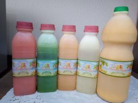 Sucos Naturais Flamingo Tropical 1 Litro