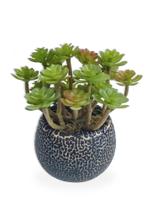 Suculenta Arranjo Flor Artificial Com Vaso Preto Em Cerâmica Estilo Kokedama - FLORDECORAR