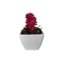 Suculenta Artificial Mini Vaso de Plástico Branco