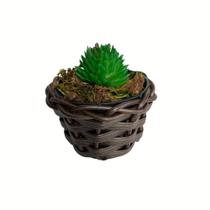 Suculenta Artificial Mini Vaso Vime Fibra Sintética Marrom