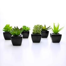 Suculenta Artificial Sortida Vaso Preto Kit Com 6 Unidades 6x6 cm F04 - D'Rossi