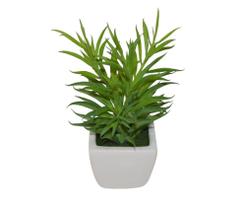 Suculenta Cacto de Ramos Firmes em Vaso de Louça 15cm