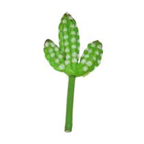 Suculenta Cacto Verde Toque Real Artificial Permanente10cm Florarte