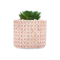 Suculenta com cachepop ceramica trelica 7,5cm wolff