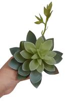 Suculenta Mini Flor - winmax artigos ornamentais