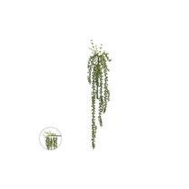 Suculenta pendente artificial com 3 ramos Suculenta pendente artificial com 3 ramos