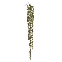 Suculenta sedum pendurar verde 72 cm - Florarte