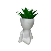 Suculenta + Vaso Decorativo Robert Plant Bbb Bob - FX