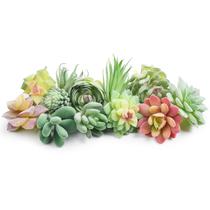 Suculentas artificiais HappyHapi Mini Fake Plants 12 unidades Suculentas artificiais HappyHapi Mini Fake Plants 12 unidades