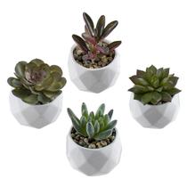 Suculentas artificiais MyGift Miniature com vasos de cerâmica, conjunto de 4 Suculentas artificiais MyGift Miniature com vasos de cerâmica, conjunto de 4