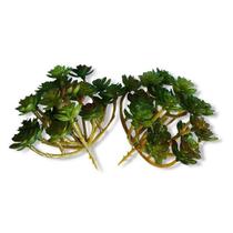 Suculentas Artificiais Plantas Enfeite Aparência Real Suculentas Artificiais Plantas Enfeite Aparência Real