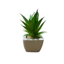 Suculentas Artificiais Vaso Cerâmica Branco - Sortidos Suculentas Artificiais Vaso Cerâmica Branco - Sortidos