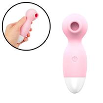 Sugador Vibrador de Clitóris 10 Velocidades Recarregável SAM Estimulador Clitoriano Massageador de Clitóris SHande Sex Shop Erotico Rosa Sugador Vibrador de Clitóris 10 Velocidades Recarregável SAM Estimulador Clitoriano Massageador de Clitóris SHande Sex Shop Erotico Rosa