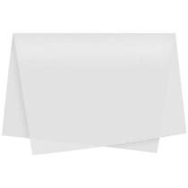 Sujinho Poli Liso 49X69CM Branco PCT.C/50