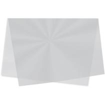 Sujinho Poli Liso 49X69CM Incolor PCT.C/50